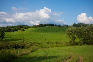 A hilly meadow with hay bales, blue skies with Cumulus clouds and a dirt road in upstate New York on a summer day.  