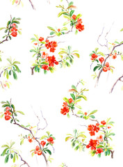 Seamless pattern isolated: Japanese quince blossoms