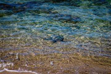 The outline of a giant sea turtle swimming just below the waves on a sandy beach on the big island of Hawaii