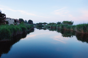 Dusk in Ghisonaccia, Corsica. Reflections of reeds in the water