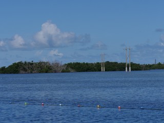 Fototapeta na wymiar Wide shot with power poles in the water along the coastal area in Key West, Florida.