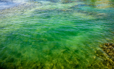Fototapeta na wymiar Close up of jade green water in waialua Bay hawaii