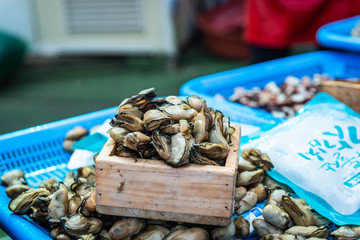 seafood in Korean market