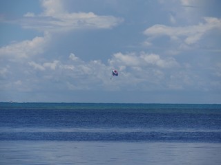 Beautiful view of the blue waters of Key West beach with a parasail flying in the air.