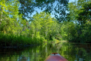 Kayaking on Juniper Springs Creek, Florida