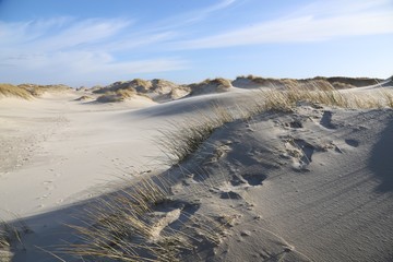 Beach and dunes landscape in Amrum, Germany