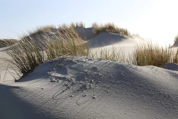 Strand- und Dünenlandschaft in Amrum, Deutschland © fotofox33