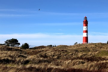 Fototapeta na wymiar Amrum lighthouse North frisian islands