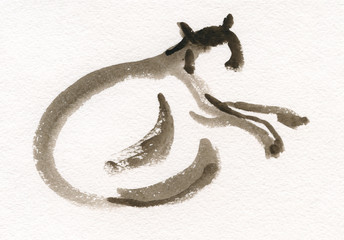 Obraz premium Sketch of a cat in watercolor