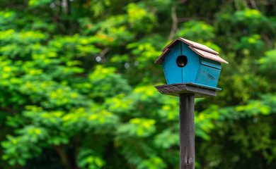 Bird house stands in the park