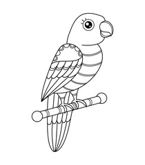 Lovely parrot outline on white background