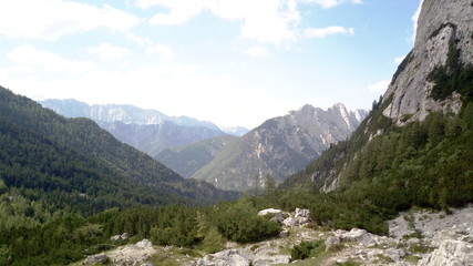 Fototapeta na wymiar Alp velika planina in slovenia