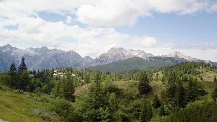 Fototapeta na wymiar Alp velika planina in slovenia