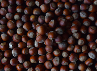 hazelnuts hazelnuts are a large number of