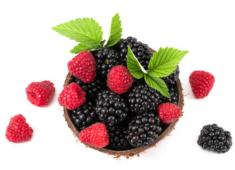 Blackberry and raspberry. On white background