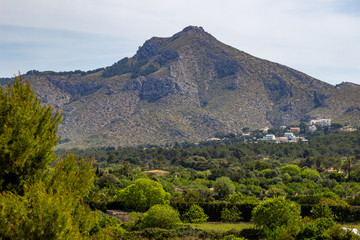 Scenic view on landscape near Alcudia on balearic island Mallorca with mountain range in background and green trees in front
