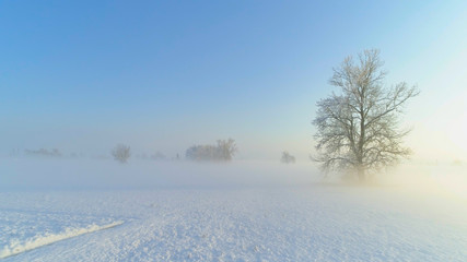Fototapeta na wymiar AERIAL: Flying low over foggy farmland covered in snow on sunny winter morning