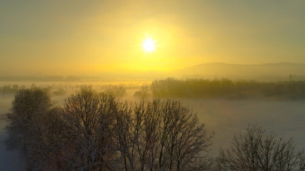 Naklejka na ściany i meble AERIAL: Flying over misty bare trees and snowy fields at magical winter sunrise