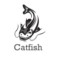 Swimming catfish up view logo design inspiration