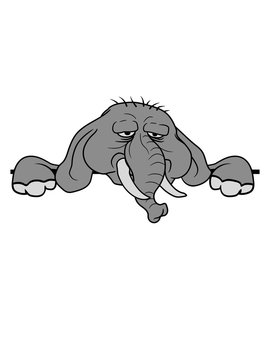 elefant traurig gesicht schild mauer text feld name schreiben rahmen dick fett groß diät riesig dickhäuter comic cartoon lustig cool clipart übergewicht
