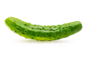 Cucumber, whole, raw and fresh with drops of water. Isolated on white background