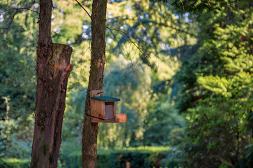 Vogelhaus an einem Baumstamm im Freien