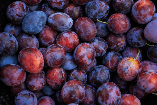 plums in basket as a graphic background