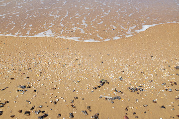 Kleine Welle am Ufer des Sandstrandes mit Muscheln