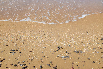 Kleine Welle am Ufer des Sandstrandes mit Muscheln