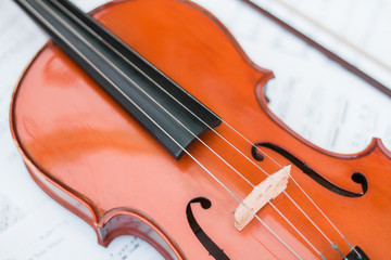 Fototapeta premium Skrzypce na białym tle. instrumenty muzyczne części skrzypce na białym tle. nuty i skrzypce