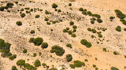 aerial view of desert and green bushes, arid landscape © M.studio