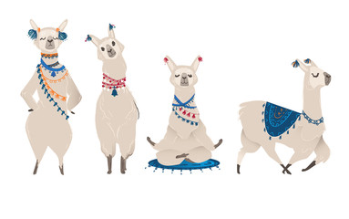 Llama or alpaca characters set for nursery design flat vector illustration isolated.