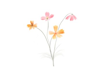 Flowers illustration watercolor painting on white background.