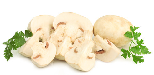 Mushrooms isolated on white background