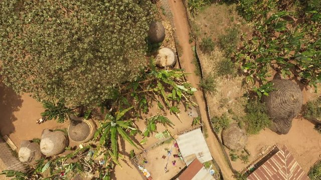 Overhead aerial view of traditional village with thatched roof houses (huts) in Dorze, a tribe living in the mountains near Arba Minch in South Ethiopia