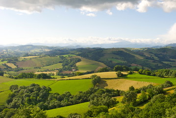 Rolling sunlit hills and farms. © Cyrus