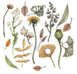 Flowers and leaves pattern background