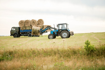 Tractor loading of bales of hay on a cargo trailer. harvesting in autumn. feed for animals. truck.