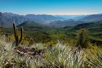 Overlooking the Ocoa Valley that leads to National Park La Campana in Chile.