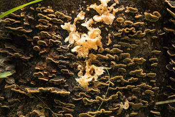 夏終わり　秋初め