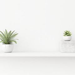 Interior wall mockup with green .plants in pots and box standing on the shelf on empty white background. 3D rendering, illustration.