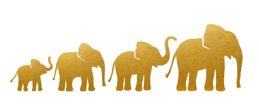 Set of Golden Elephant Silhouettes. Vector
