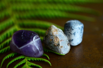 Banded Amethyst, Tumbled Ocean Jasper, and Tree Agate. Adorable detailed miniature stones on top of a wooden desk with ferns and foliage. Natural lighting, macro photography of healing crystals