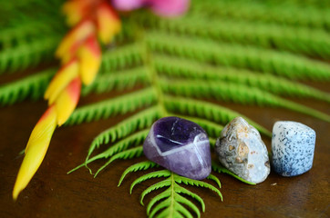 Banded Amethyst, Tumbled Ocean Jasper, and Tree Agate. Adorable detailed miniature stones on top of a wooden desk with ferns and foliage. Natural lighting, macro photography of healing crystals