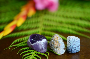 Banded Amethyst, Tumbled Ocean Jasper, and Tree Agate. Adorable detailed miniature stones on top of a wooden desk with ferns and foliage. Natural lighting, macro photography of healing crystals