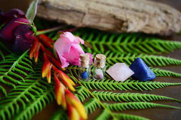 Fototapeta premium Miniature crystal vial apothecary set! Mini crystal bottles, Pink and Blue Combo! Azurite Berry, Pink Tourmaline, Rose Quartz, and Sodalite. Healing crystals on plants, wood table in natural lighting