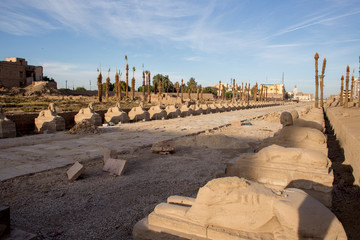 The avenue of sphinxes, Luxor, Egypt