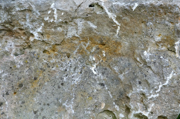 rough surface of a jurassic limestone rock