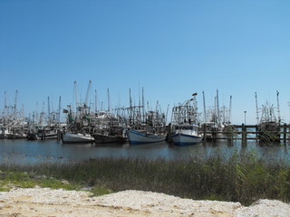 Fototapeta premium Harbor Shrimp Boats