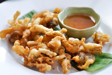 fried Indian Oyster, fried mushroom or deep fried Mushroom